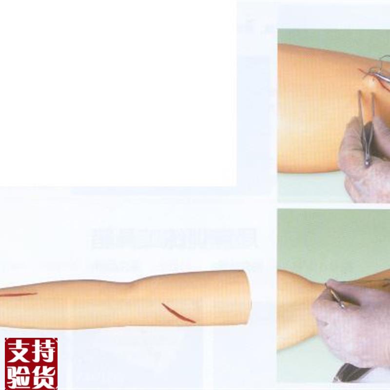 高级外科缝合手臂模型