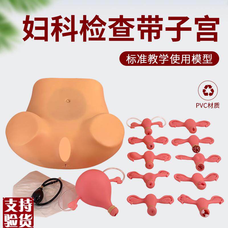 妇科内诊检查模型l子宫触诊视诊高级妇科检查训练模型8子宫病变