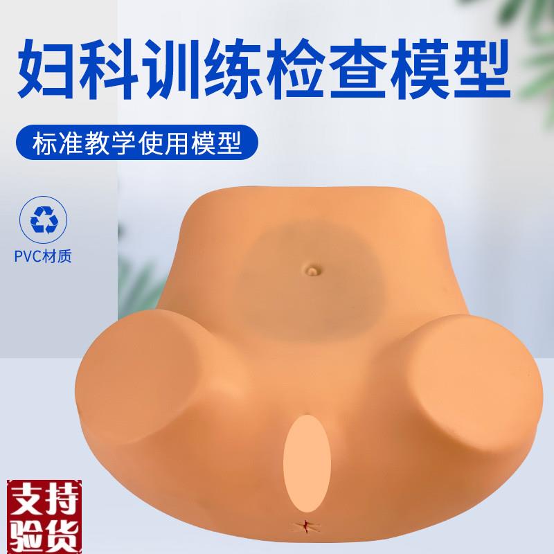高级妇科内诊训练模型妇女检查模型妇婴训练模型子Y宫触诊视诊