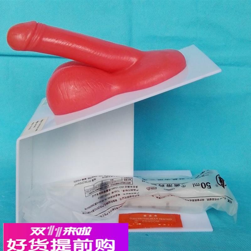男性生殖器演示模型 男性生殖系统 计生教学医用讲解展示