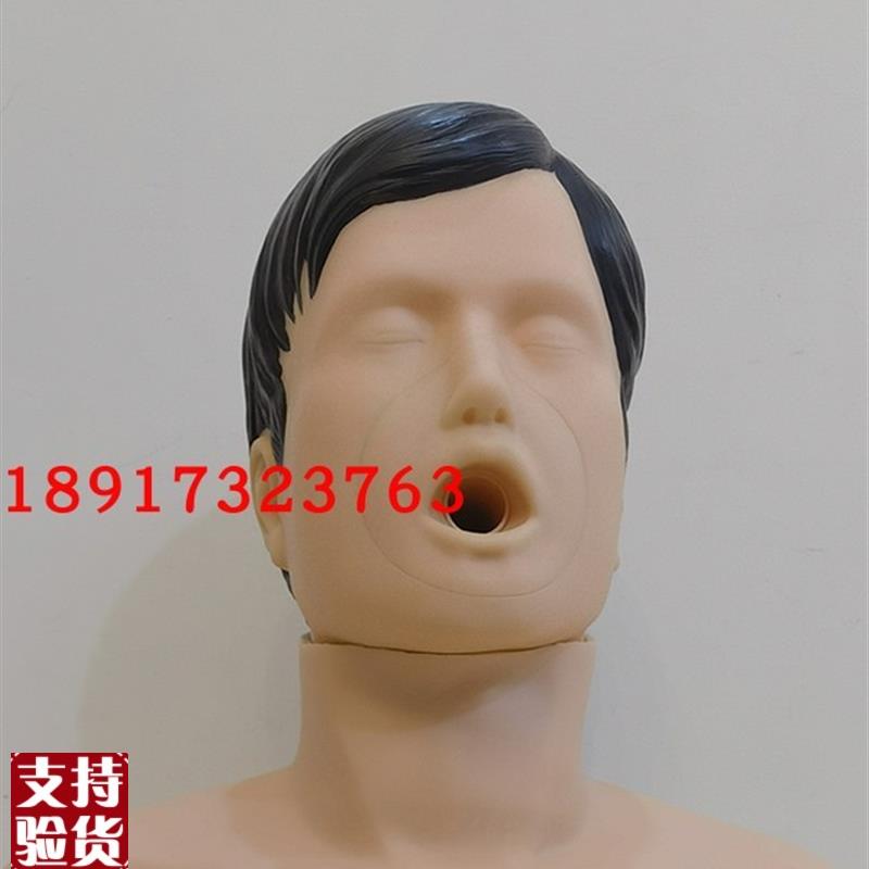 高级成人气道梗塞及CPR模型海氏急救法L练习模型海姆立克急救法