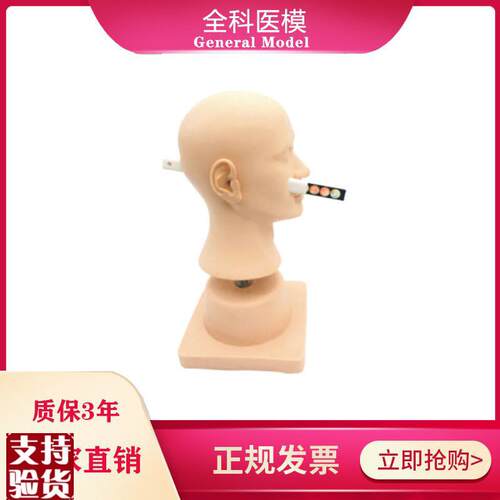 高级耳诊断模型正常病变B的鼓膜模块耳内检查模型