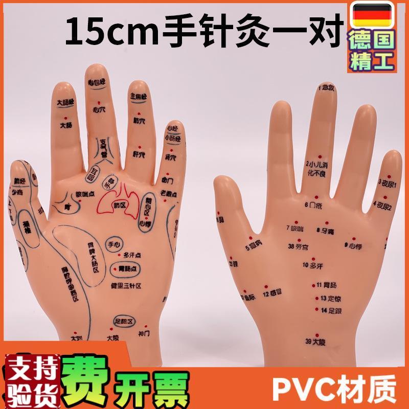 超清晰小儿手部反射区模型中医推拿针灸I教学穴位模型儿童仿真手