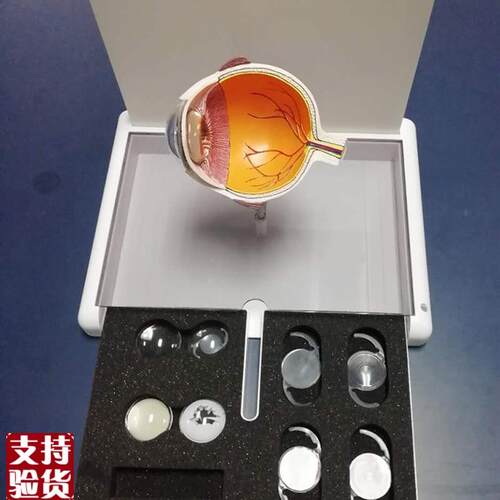 眼睛模型晶片虹膜器p官解剖白内障光学教仪医用医学教学教具