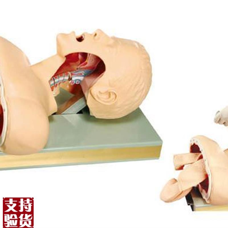 高级医学用人体气管插管练习模型电子成人插管护理W带报警训练模