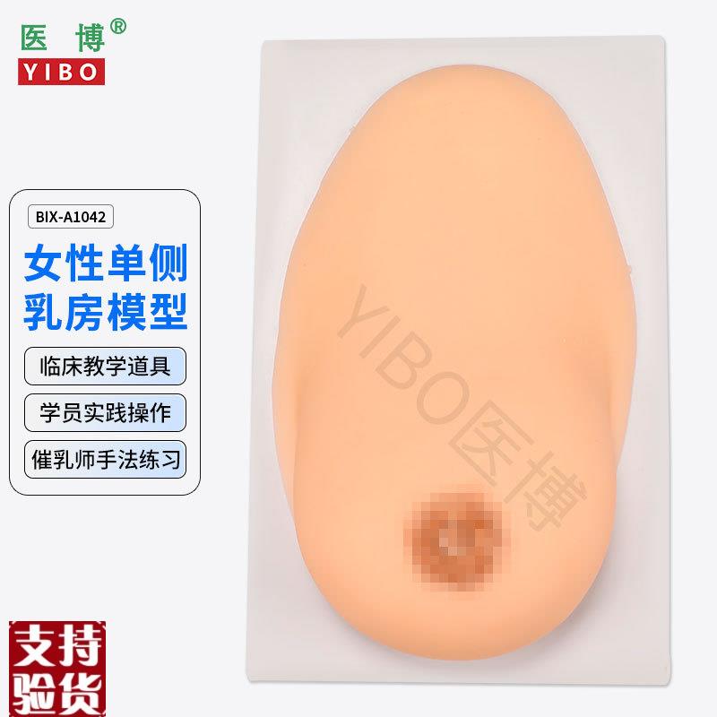 医博BIX-1042成人女性单侧硅A胶乳房模型仿真触感催乳手法训练教