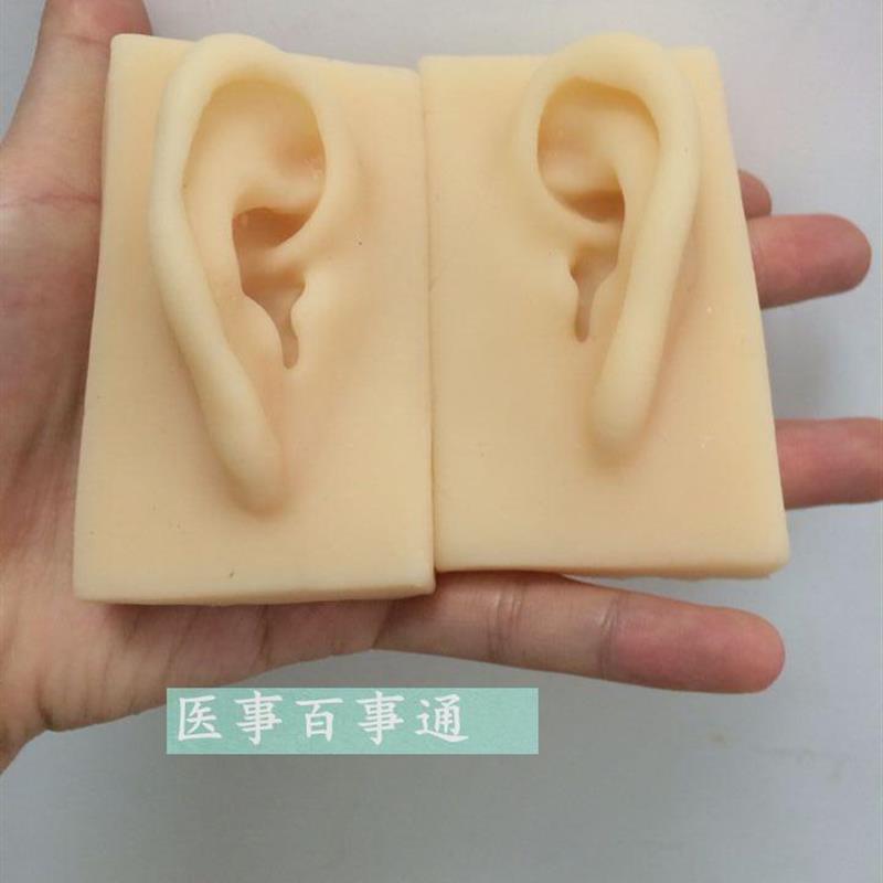 硅胶耳朵a模型软TPR耳朵模型厂家供应仿真人耳模型示教硅胶耳