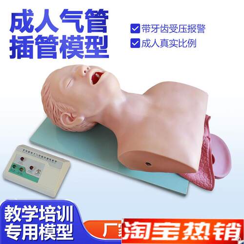 高级气管d插管训练模型带电子报警厂家直销品质保证