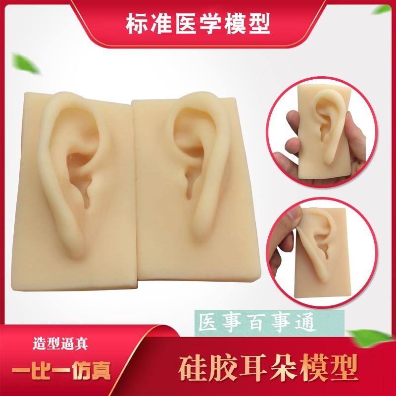硅胶耳朵模型软TPR耳朵模型厂家供应仿真人P耳助听展示道具包邮