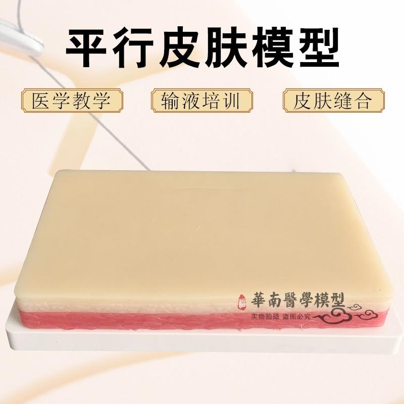人体皮肤缝合练习模块仿真皮肤切开缝合模型肌.肉缝合包邮