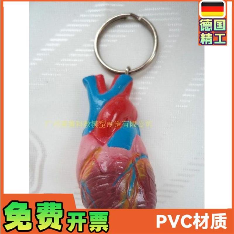 心脏钥匙扣仿真心脏小型人体心脏钥匙扣模型U人体内脏钥匙扣