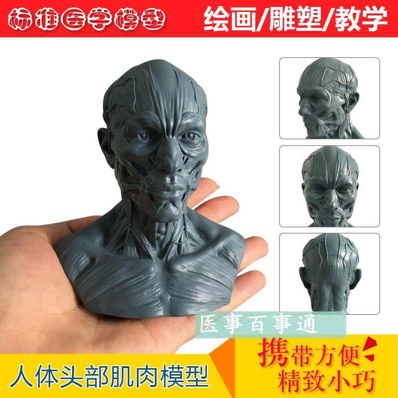 美术素描小头骨绘画模型人头骨模型树脂骷髅头T办公摆件工艺品