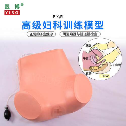 医博BIX-Fl高级妇科检查训练模型仿真子宫触诊练M习检查模型医学