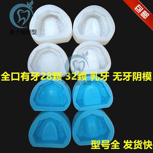 牙科有牙阴模无牙颌阴模排牙基托模具制N标准石膏牙列牙齿模型