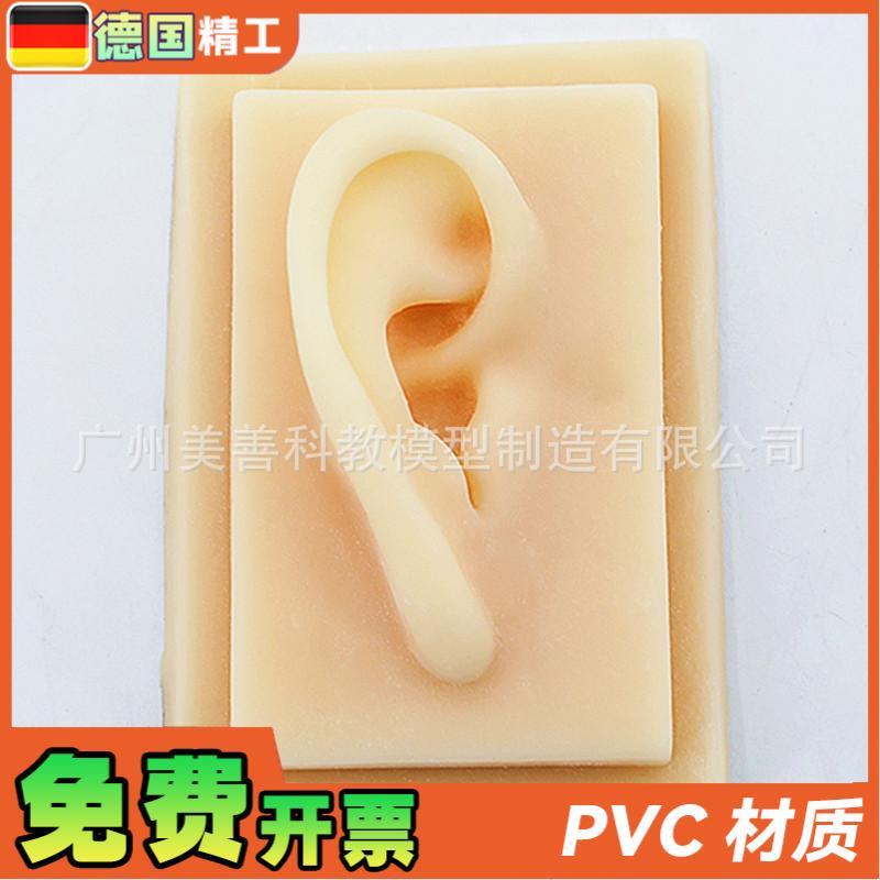 硅胶耳朵模型软TPRs耳朵模型仿真人体耳模助听展示道具一对