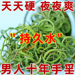 正品长白山野生肾精茶黄金草嗷嗷叫男性滋补养生茶饮泡水喝的东西