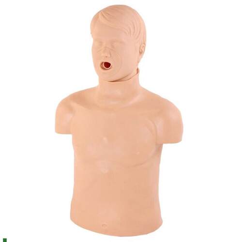 CPR155高级成人气道梗塞W及CPR模型