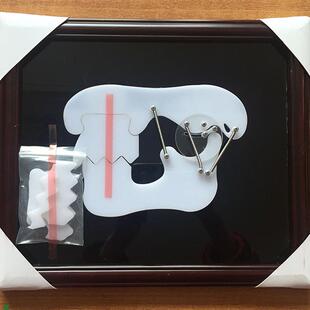 牙齿教学训练演示s板牙科牙颌关节咬合示教板