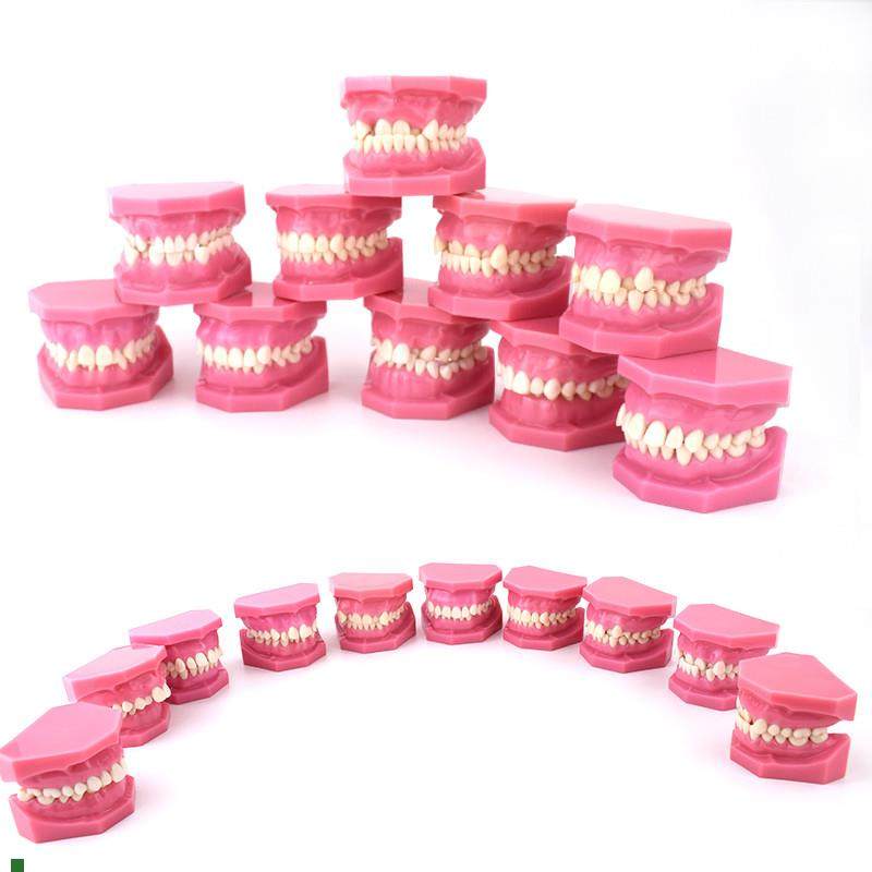 ENOVO颐诺安氏l错颌分类模型ANGEL分类错颌畸形分类演示模型口腔,文具电教/文化用品/商务用品,教学标本/模型,淘宝优惠券,粉丝福利购,淘宝优惠卷