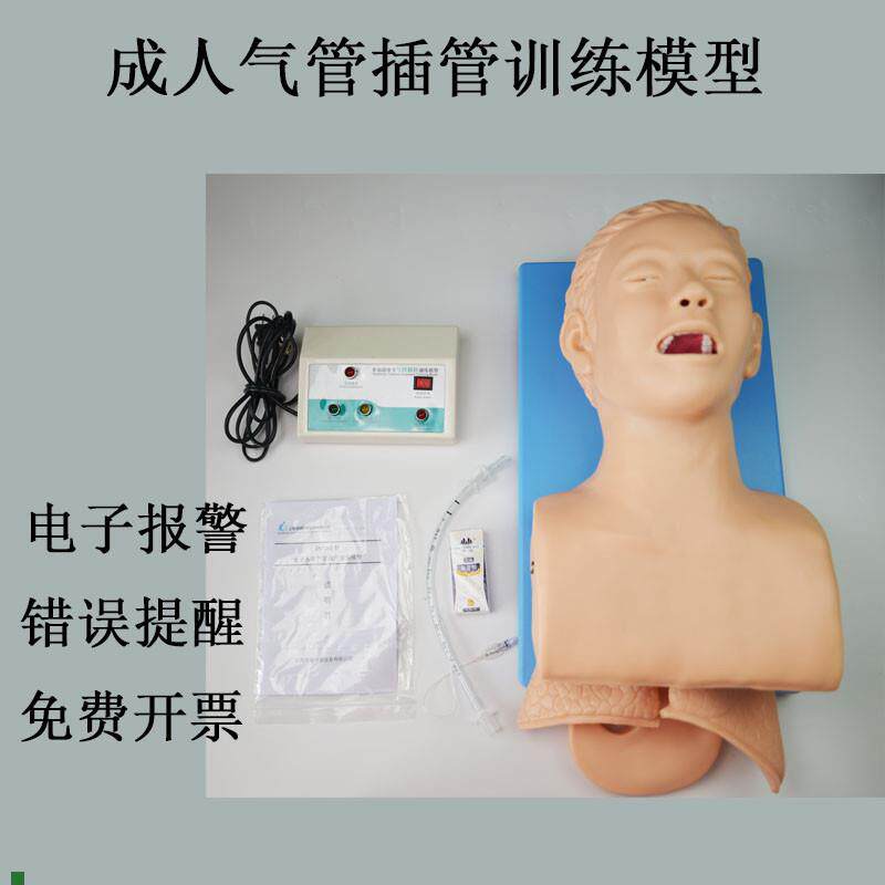 实训人体气管插管训练模型带电子牙齿报警成人急救训Y练教学模具