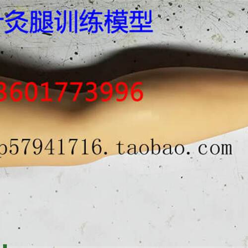 针灸腿训b练模型针刺大腿训练模型成人下肢中医针灸练习模型