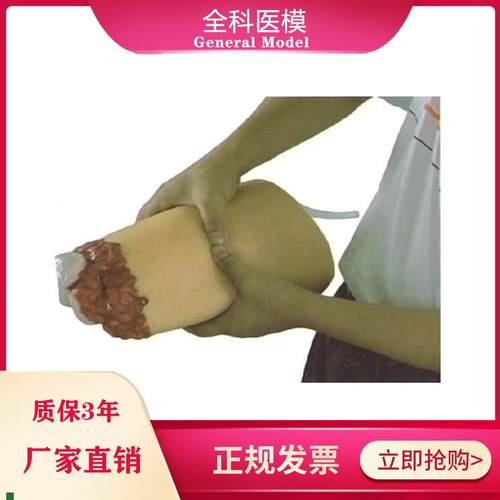 下肢外伤断肢止血模型人体大腿断肢包扎止血模具医X教学培训模型