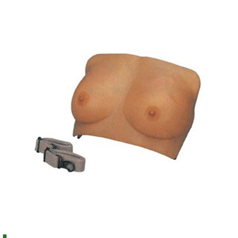 高级乳房检查模型妇科检查佩戴M式胸部检查模型教具