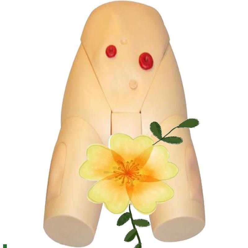 高级男性导尿模n型JY/H17E佳悦科教通