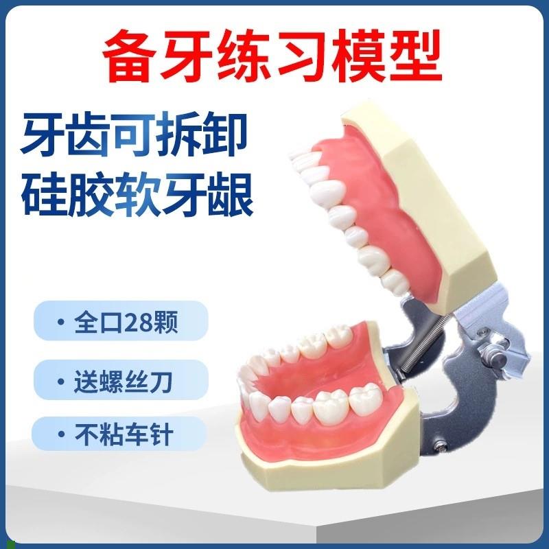 适配齿科口腔牙科模具医生练习考试树脂缝可拆卸离体标准假备牙模