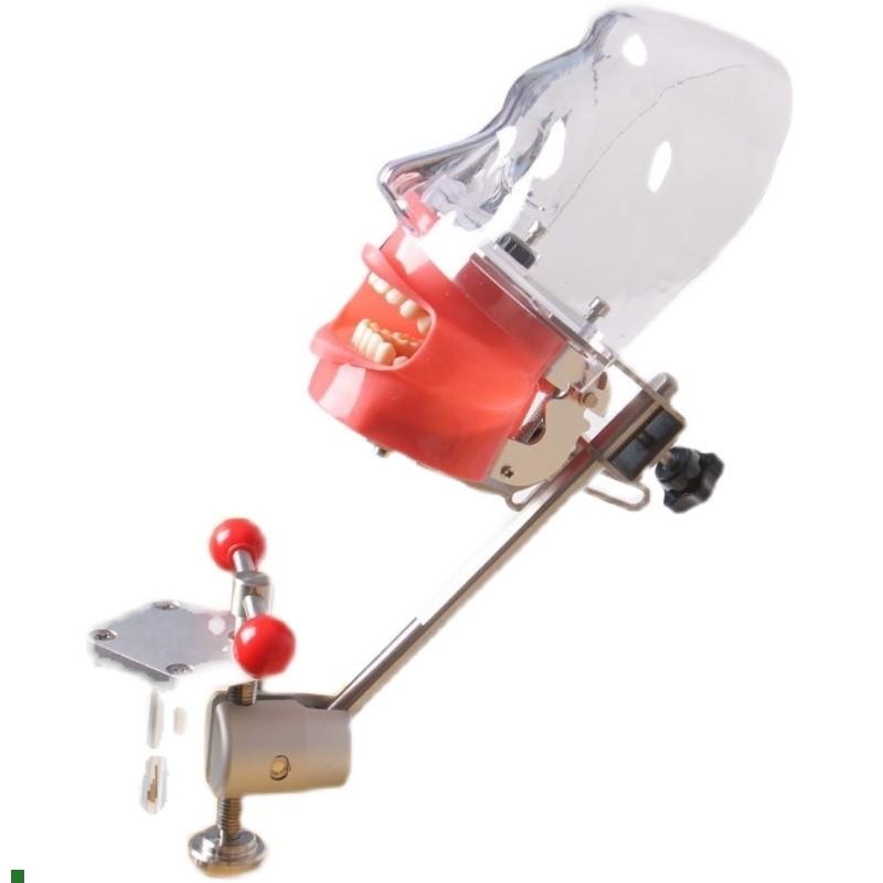 牙科口腔备牙模型器械工具离体牙C备牙种植树脂牙简易仿真头模包