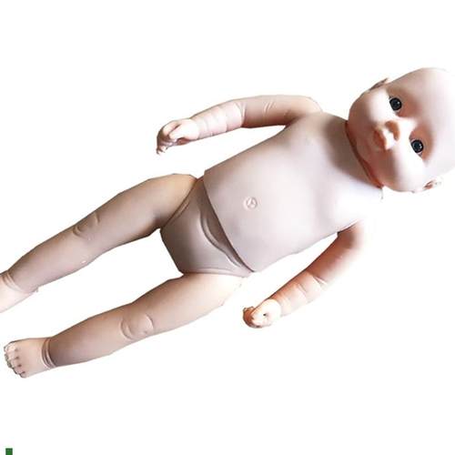 新生儿生长指标评定及护理训练模型F婴儿生长指标护理训练模型人