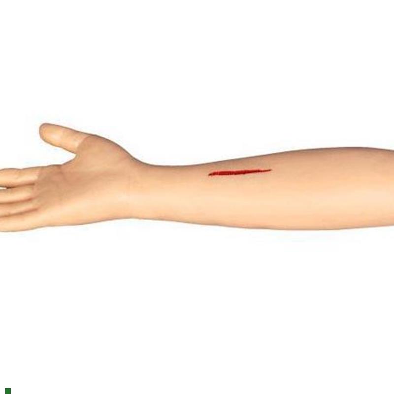 高级外科缝合手臂模型模特B教学模具缝合道具外科练习