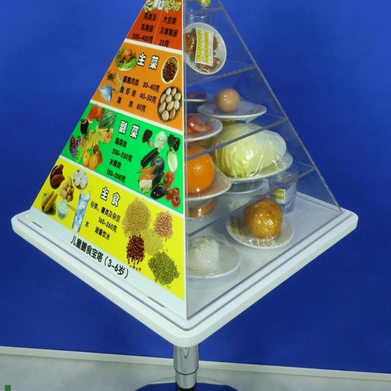 3-6岁儿童膳食宝塔模型学龄前膳食宝塔J模型膳食宝塔中国居民膳食