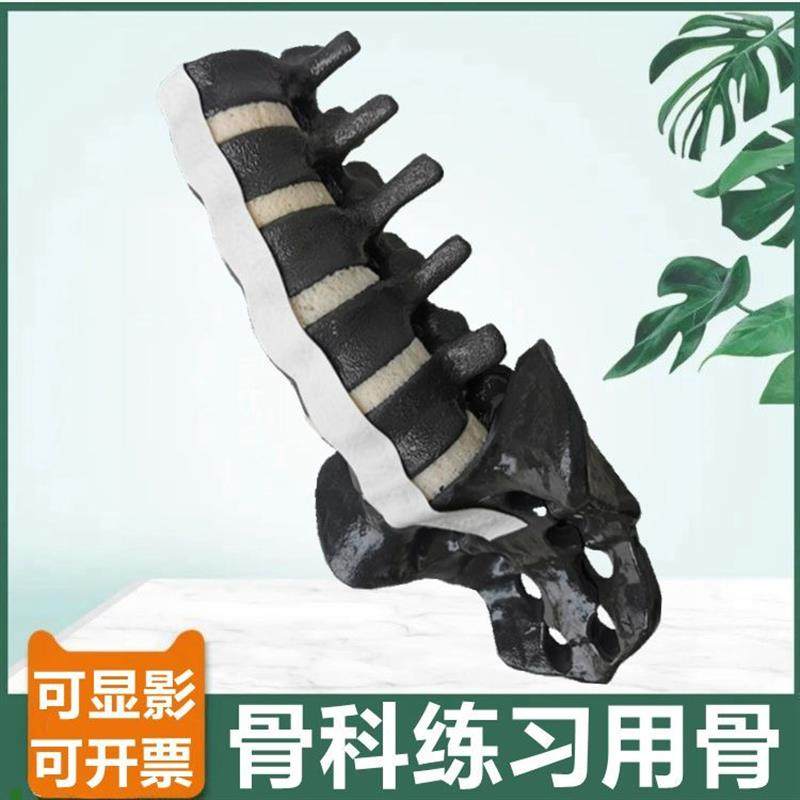人体腰椎模型仿真骨可显影胸椎颈椎椎间盘神经临床骨X科医生用操