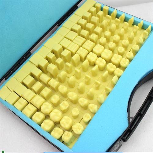 ENOVO颐诺全口牙雕牙练习指导模型雕牙步骤口腔科牙医Z齿科模型口