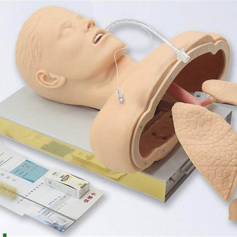 人体气管插管模型带喉部解剖结构成人气道插管训练.模型J50,文具电教/文化用品/商务用品,模拟人,淘宝优惠券,粉丝福利购,淘宝优惠卷