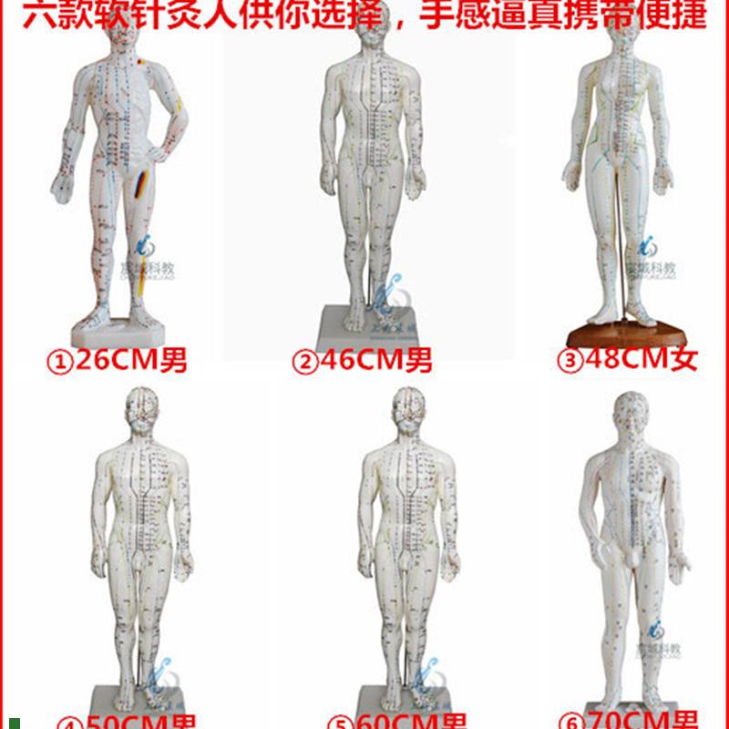 超清人体针灸穴位模n型经络通铜人刻字中医教学人体模型男女小人