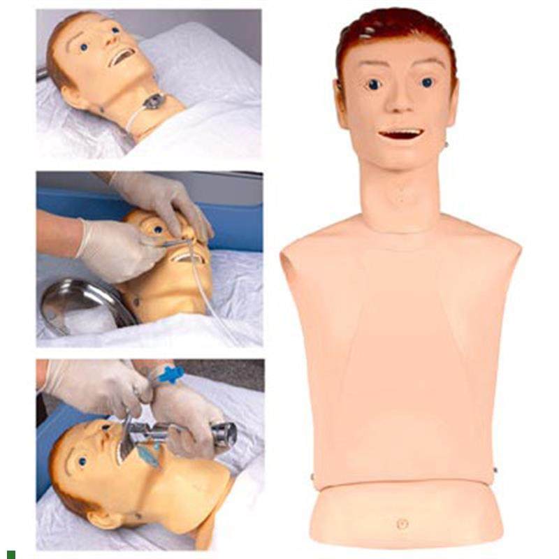 高级鼻胃管与气管护理模型鼻饲管洗T胃教学训练模具,文具电教/文化用品/商务用品,模拟人,淘宝优惠券,粉丝福利购,淘宝优惠卷