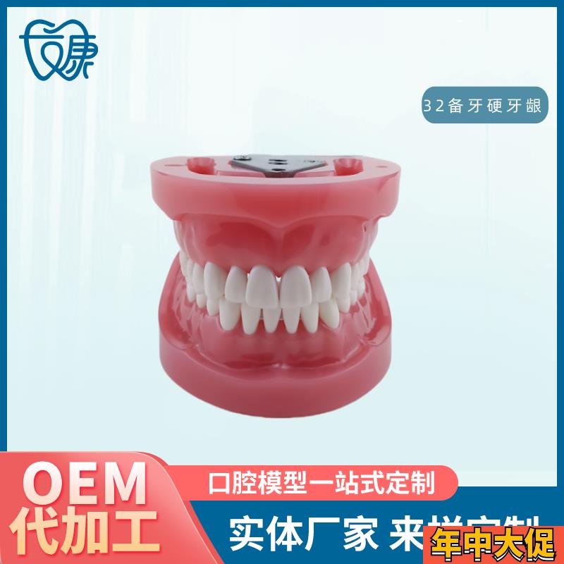 牙科全口可拆卸备牙模型t软牙龈模型练习牙齿模型送螺丝螺刀
