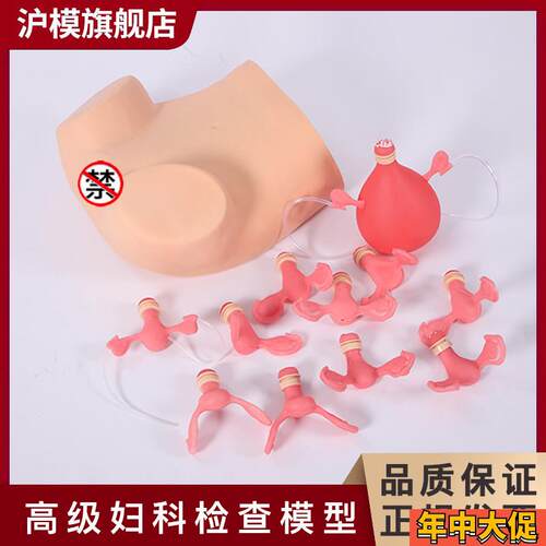 沪模HM/F3妇科检查模型宫颈计划生w育妇产科训练模具子宫放环取环