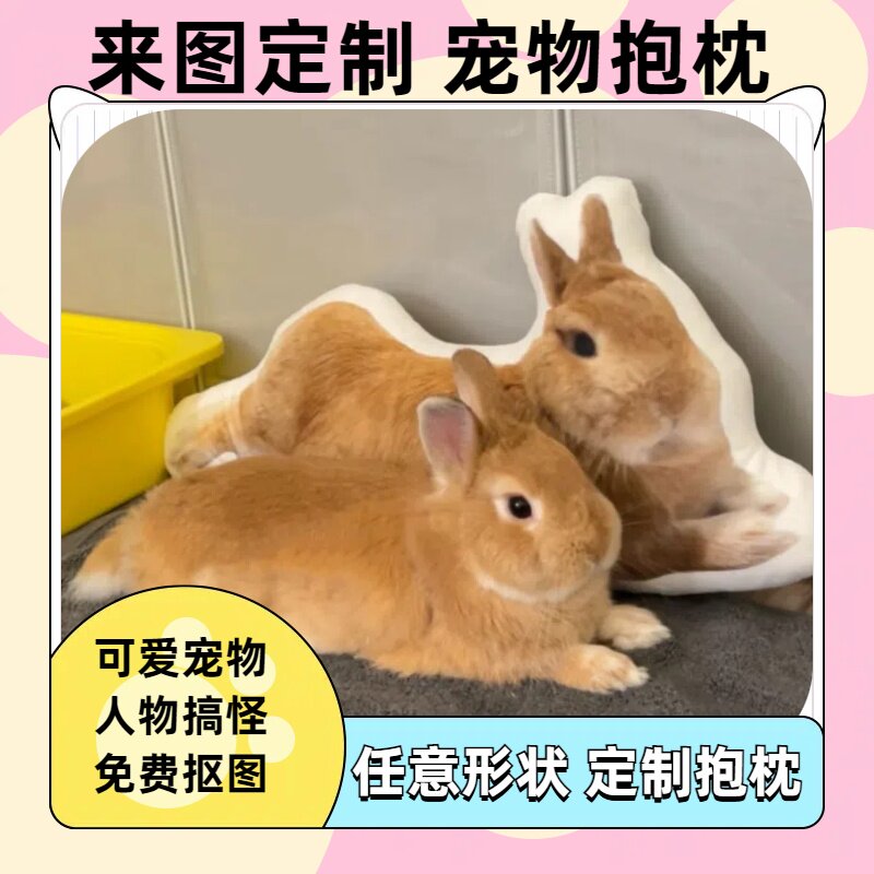 来图制作抱枕diy宠物抱枕真人宠物照片来图印制搞怪玩偶抱枕