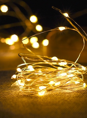 Fairy Lights Copper Wire LED String Lights Christmas Garlan