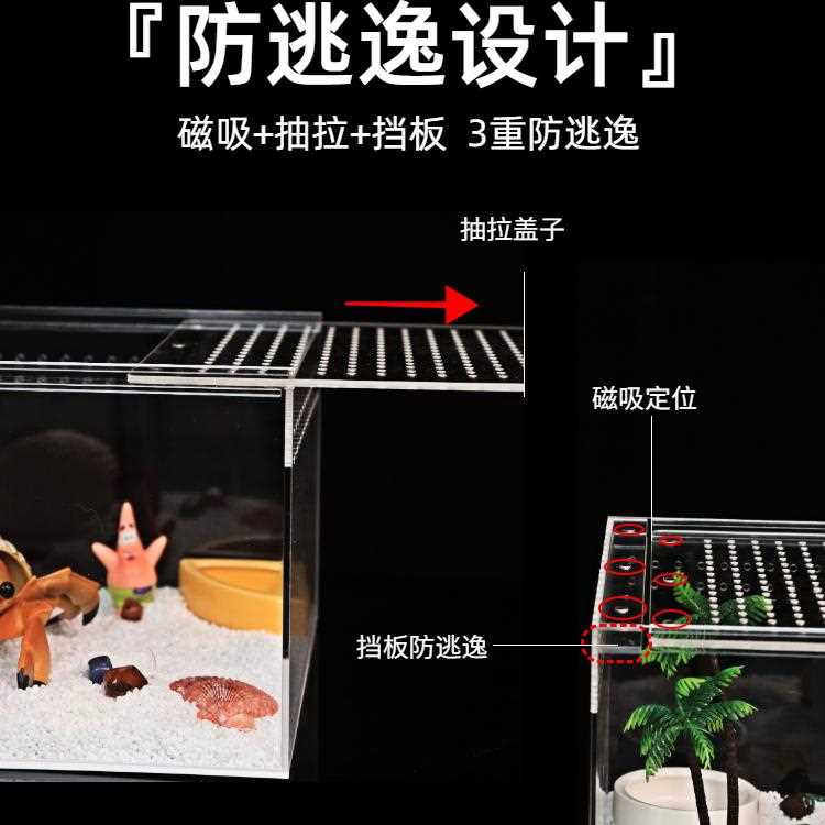 爬宠饲养箱亚克力寄居蟹饲养盒守宫蜘蛛角蛙生态雨林缸造景透明