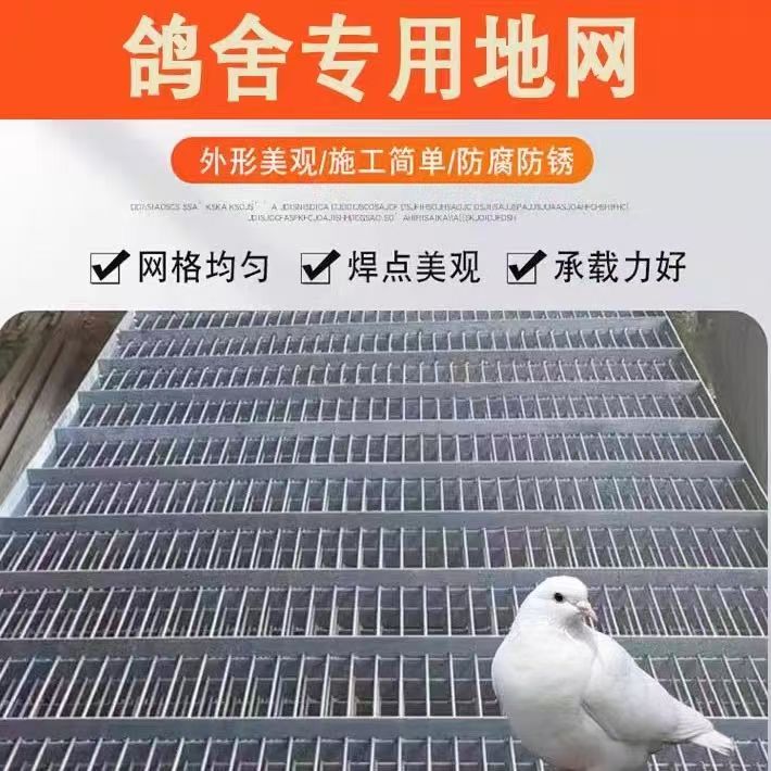 鸽舍底网漏粪板镀锌养殖网热镀锌扁铁地网养殖漏粪网地网格栅鸽子