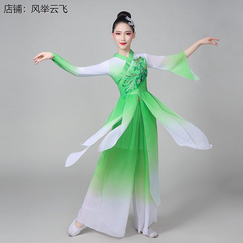 成人古典舞新款演出服茉