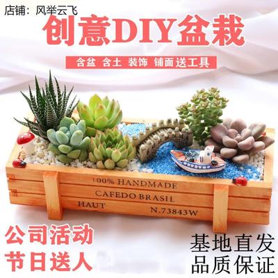 植物盆栽幼儿园多肉diy材料包手工创意组合小摆件室内植树节活动