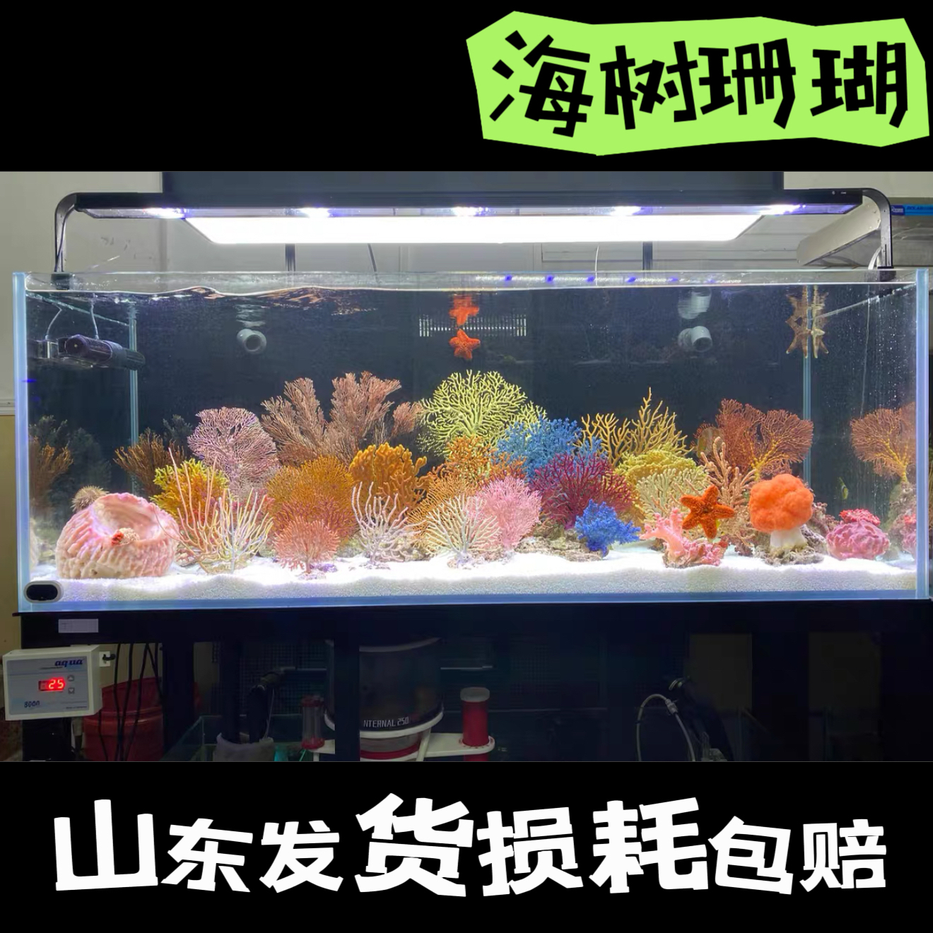 海树珊瑚造景水族海水树花草珊瑚树枝非仿真珊瑚鱼缸海缸造景摆件