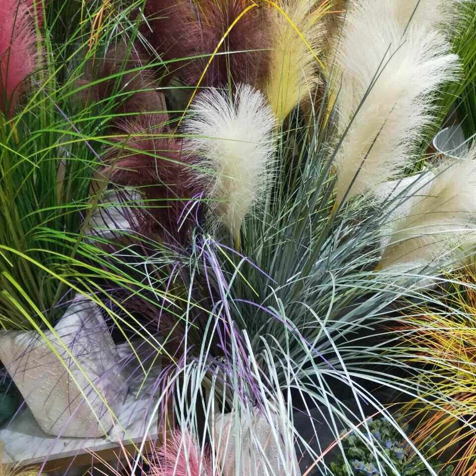 苇草仿真花u5头花干苇子假花胶花草狗尾芦橱yug巴草客厅窗婚庆布