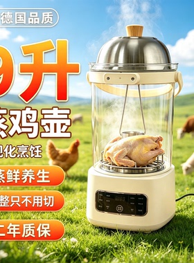 9升养生蒸鸡壶多功能大容量炖煮