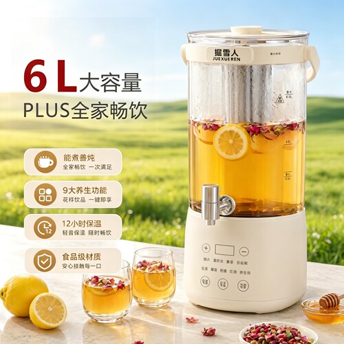 6升养生壶家用炖煮一体6L大容量